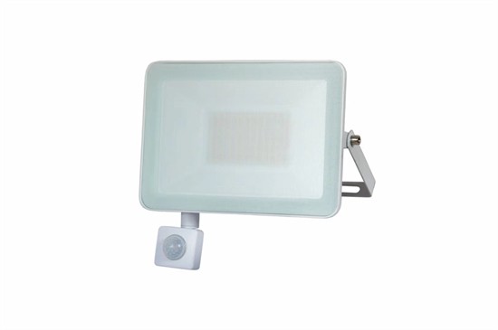 IR Sensor Thin Pad LED Flood Lamp